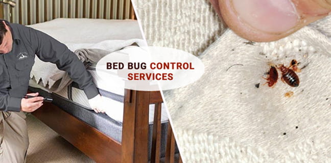 about ssg janitorial cleaning services