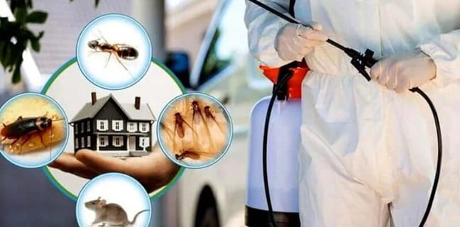 about ssg janitorial cleaning services