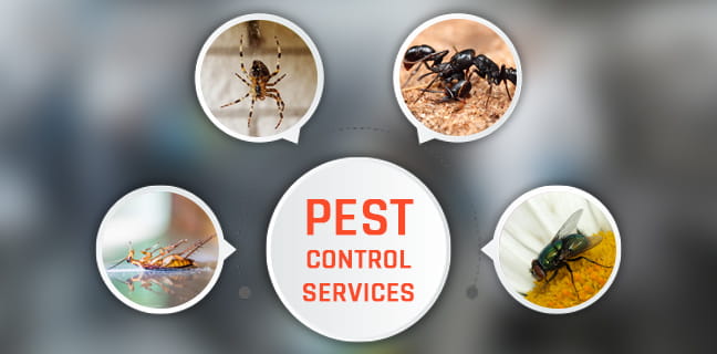 about ssg janitorial cleaning services