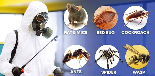 about ssg janitorial cleaning services